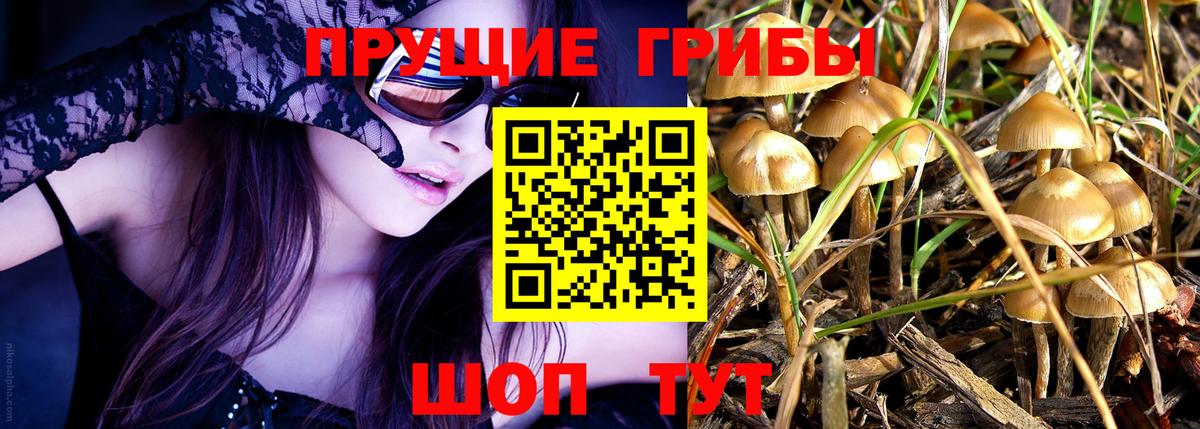 Слободской  Псилоцибиновые грибы Psilocybine cubensis  Галлюциногенные грибы мухоморы  Вход с VPN 